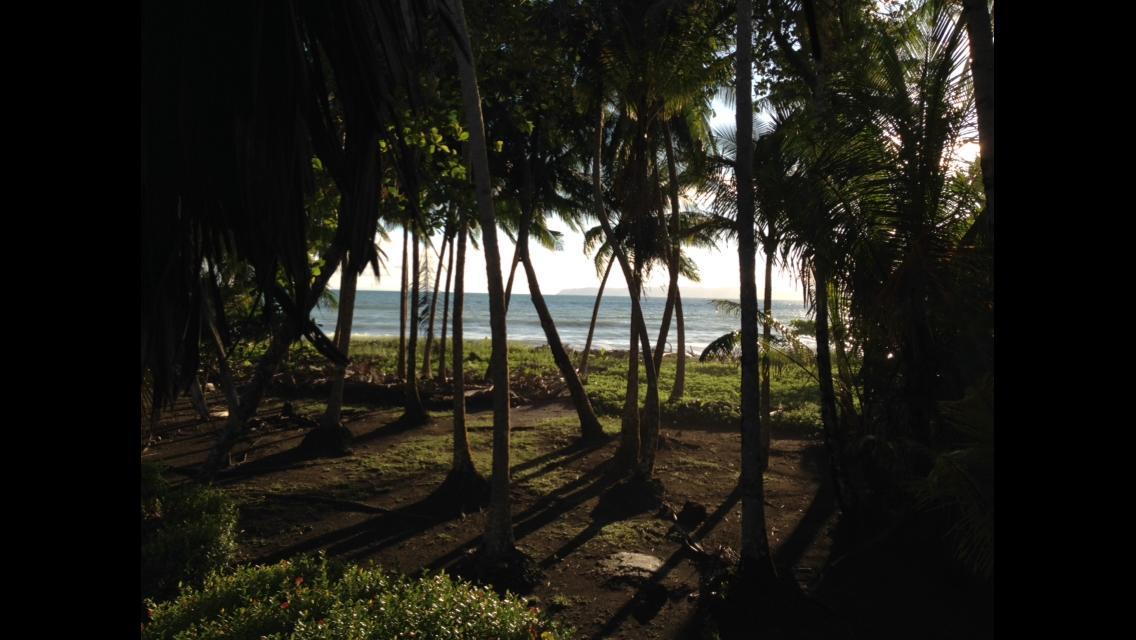 Cabinas Sol Y Mar Zancudo エクステリア 写真